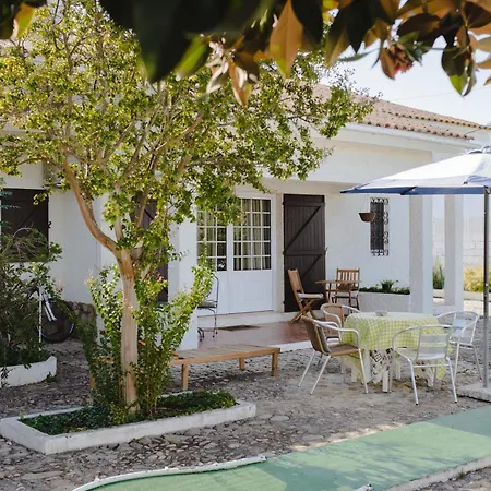 Amendoeirashouse-Sustainableliving Bed & Breakfast Abrantes Exterior photo