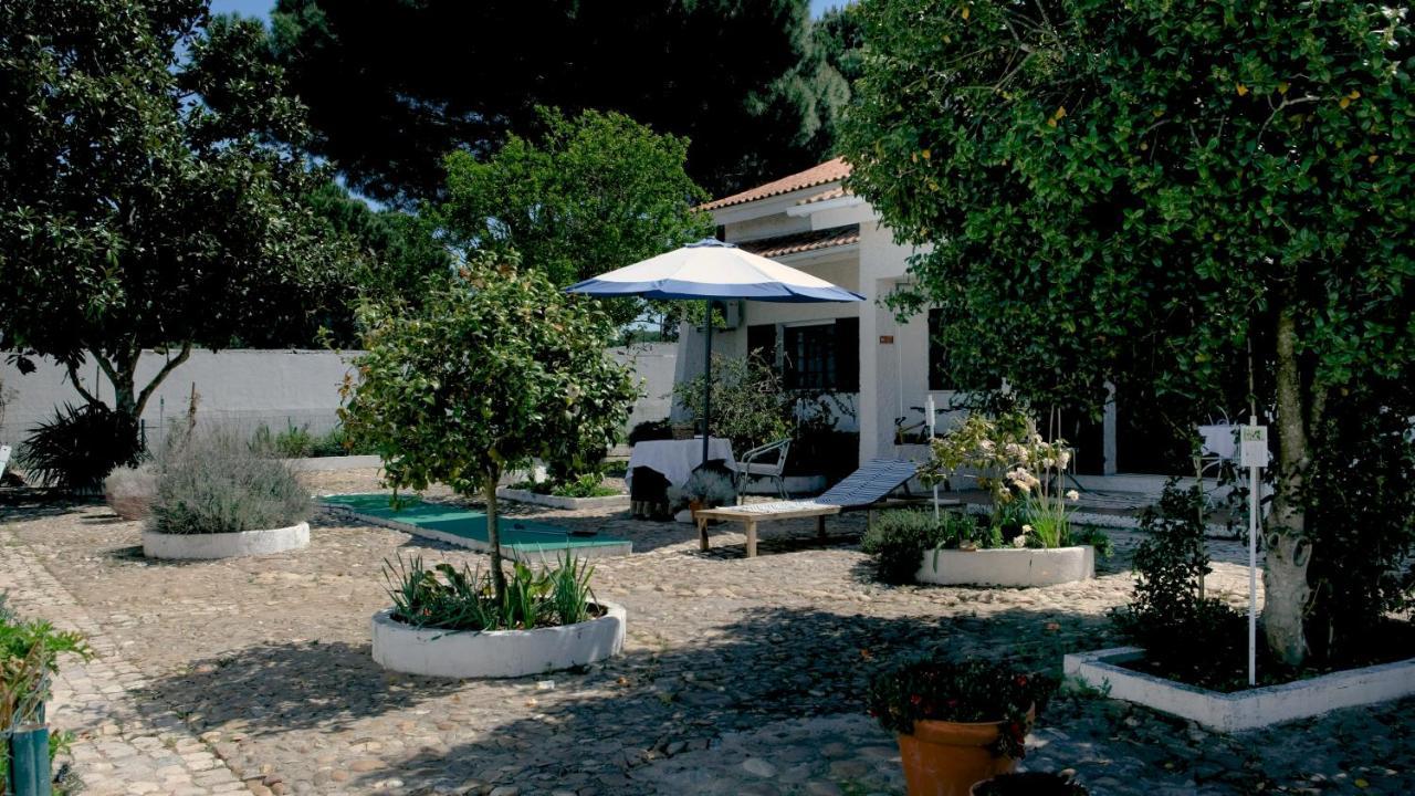 Amendoeirashouse-sustainableliving * Abrantes