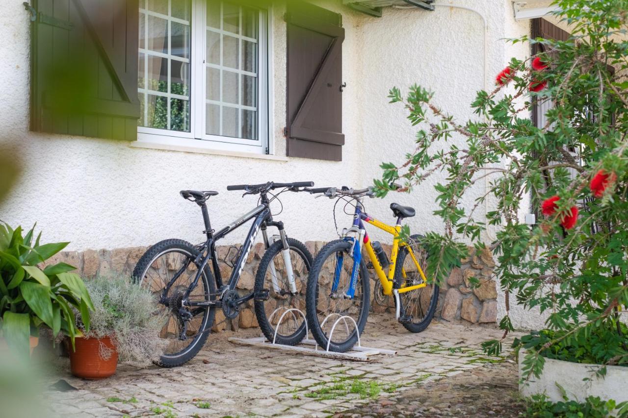 Amendoeirashouse-sustainableliving Frühstückspension